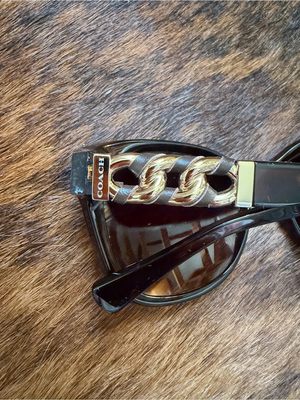 Coach L131 Dark Tortoise HC8156Q Sunglasses